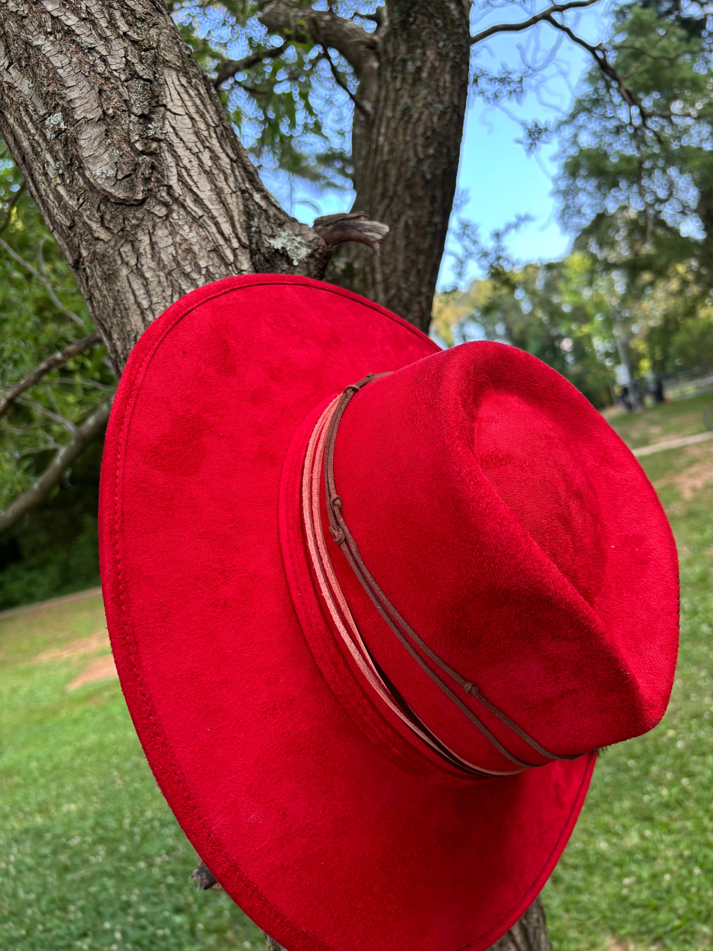 Fénix Rojo