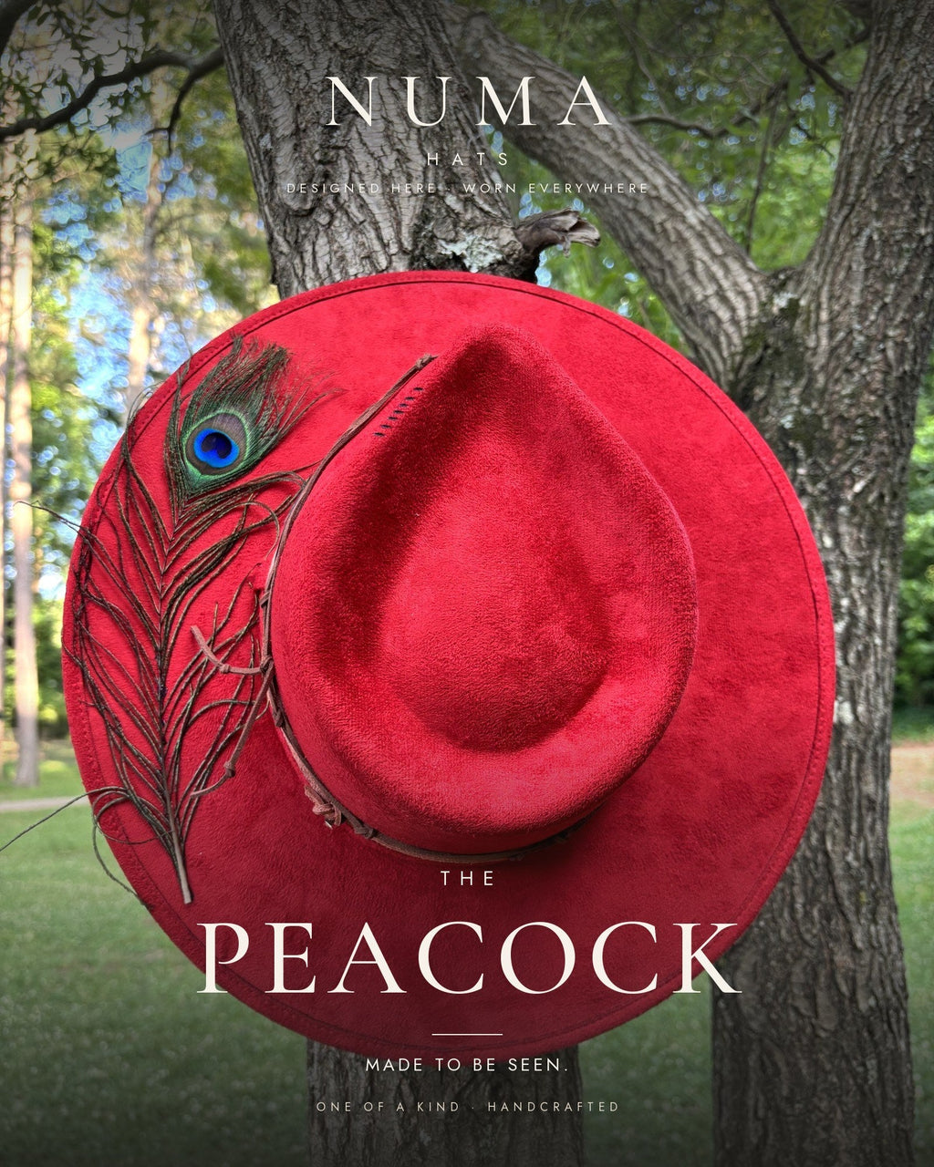 The Peacock by Numa Hats — cover