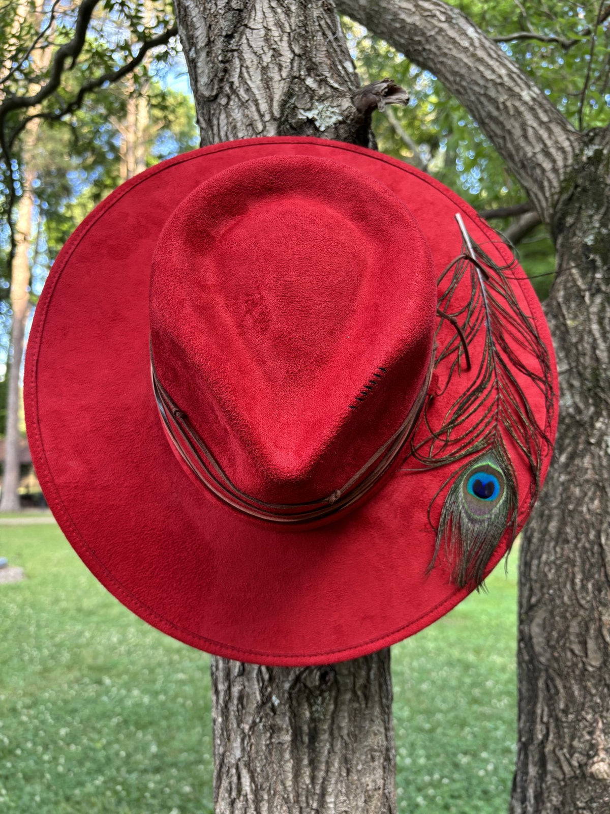The Peacock by Numa Hats