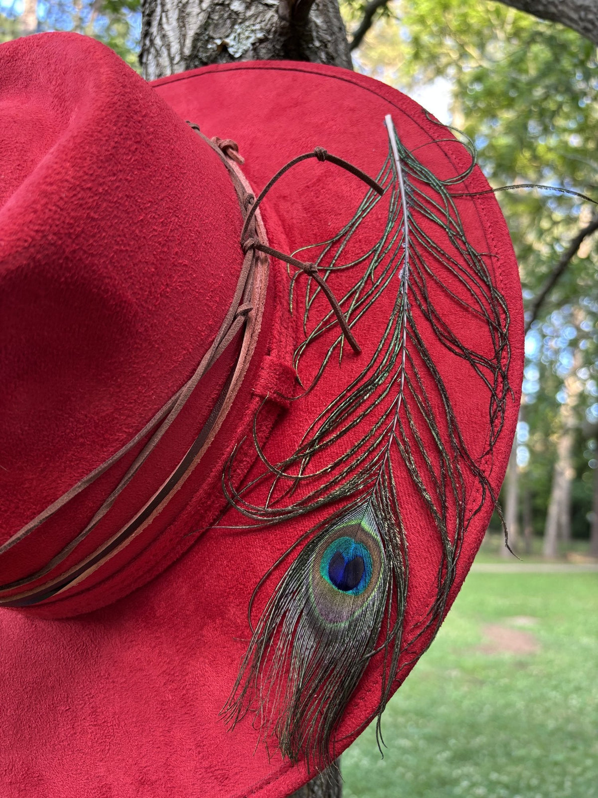 The Peacock by Numa Hats