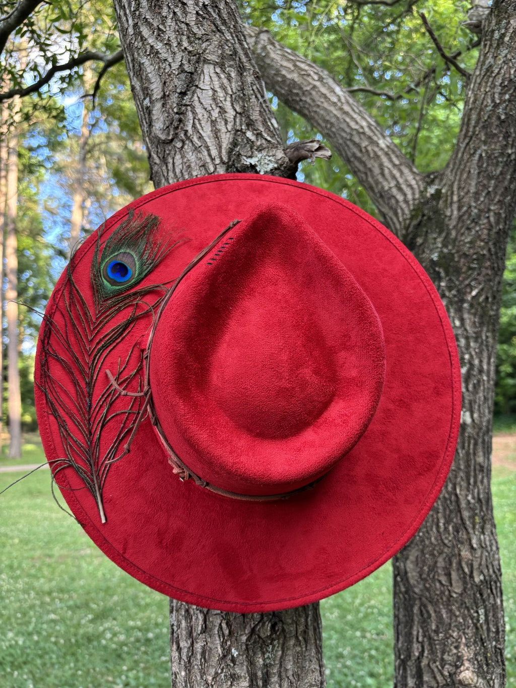 The Peacock by Numa Hats