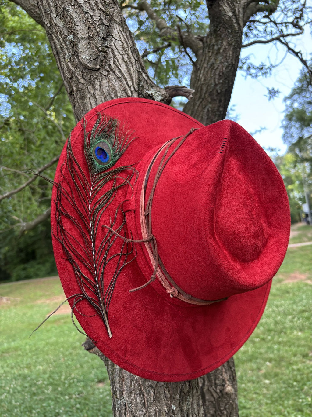 The Peacock by Numa Hats